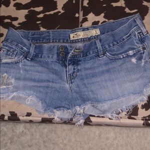 Hollister Shorts
